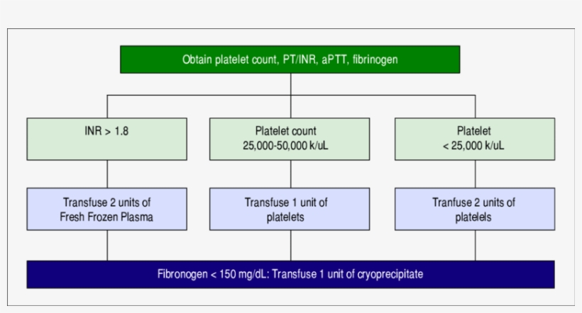 Ohio State University Liver Transplant Transfusion - Ohio, transparent png download