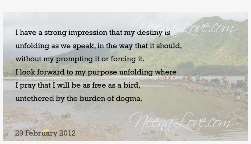 Oprah's Master Class - Torquay College, transparent png download