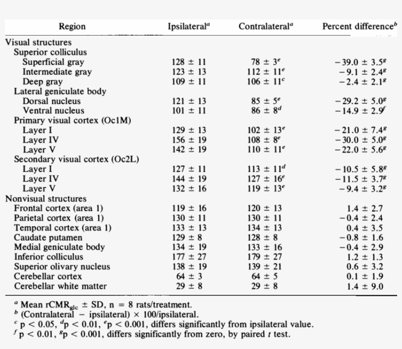 Regional Cmrglc In Awake Hooded Rats 24 H After Unilateral - Document, transparent png download