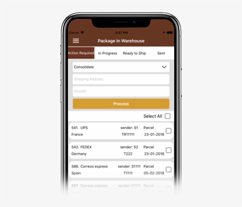 Celular-460x700 - Mail Forwarding, transparent png download