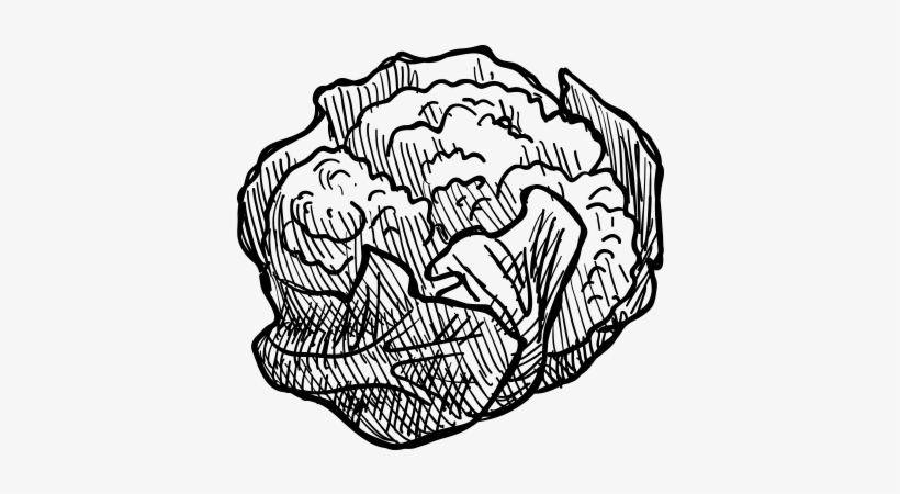 Download Svg Royalty Free Download Black And White Vegetable Png Doodle Vegetable Transparent Png 500x500 Free Download On Nicepng