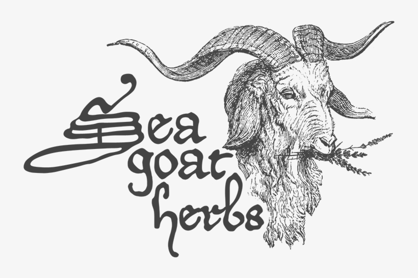 Picture Freeuse Download Sea Goat Herbs - Sea Goat, transparent png download