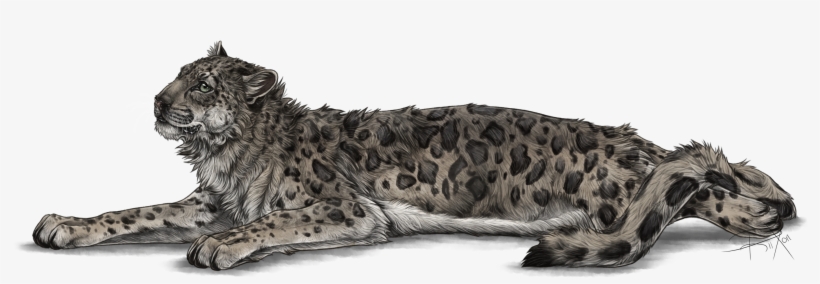 Full Image Of The Snow Leppy Decor By Rixon - Snow Leopard Png, transparent png download