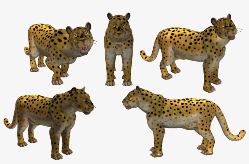 Snow Leopard Clipart Amur Leopard - Amur Leopard, transparent png download