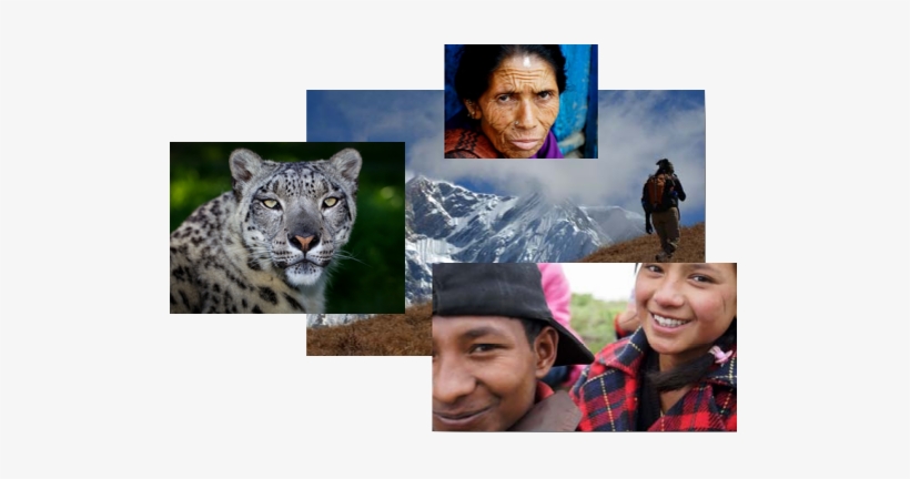 Pangje Foundation's Programs Are Geared To Not Only - Wildlife Heritage Foundation, transparent png download