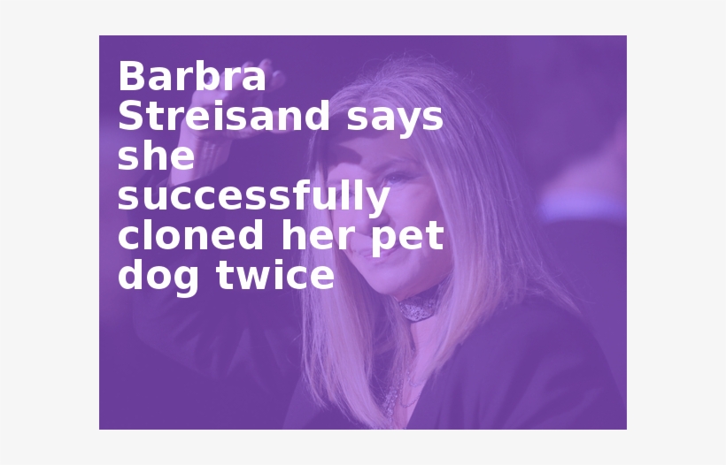 Barbra Streisand Says She Successfully Cloned Her Pet - Obama Yes We Can, transparent png download