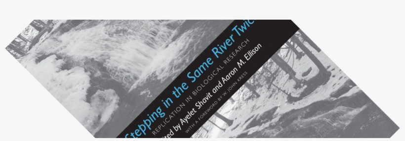 Book Review Stepping In The Same River Twice - Stepping In The Same River Twice: Replication, transparent png download