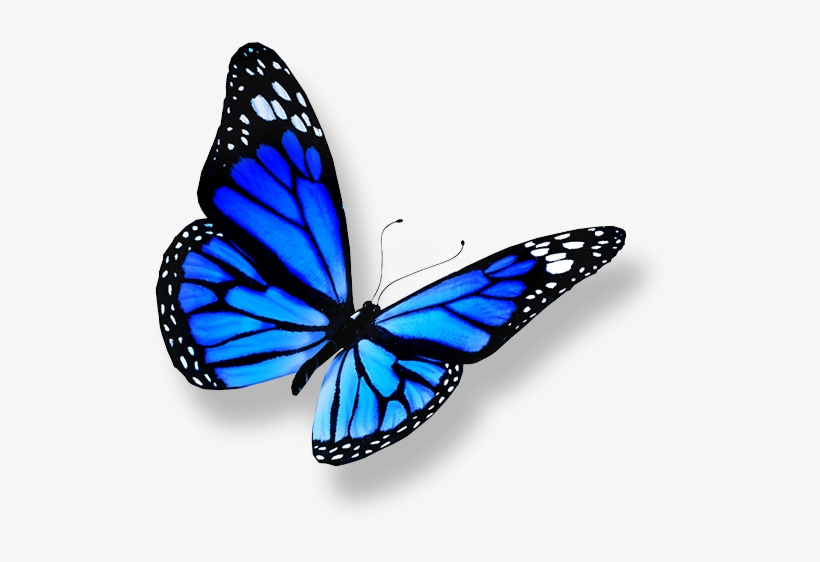 Edward Mannix - Heal Breast Cancer Naturally - 7 Essential Steps, transparent png download