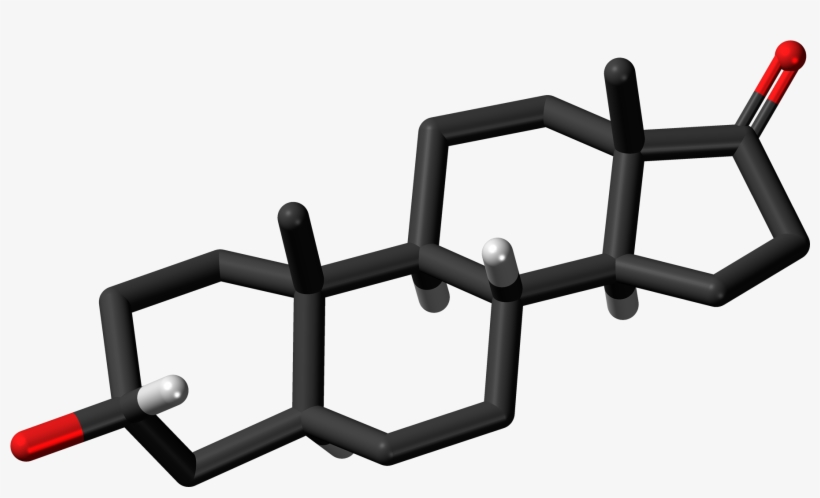 Androsterone 3d Skeletal Sticks - Steroid, transparent png download