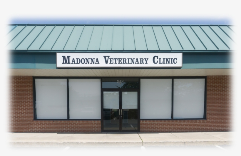 Mvcherov4 - Photograph, transparent png download