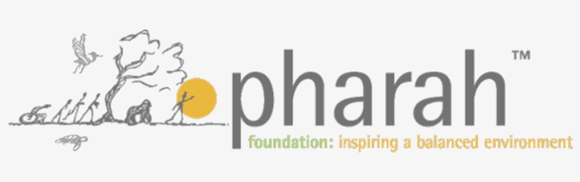 About Pharah - Foundation, transparent png download