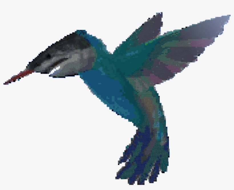 Hummingbird, transparent png download