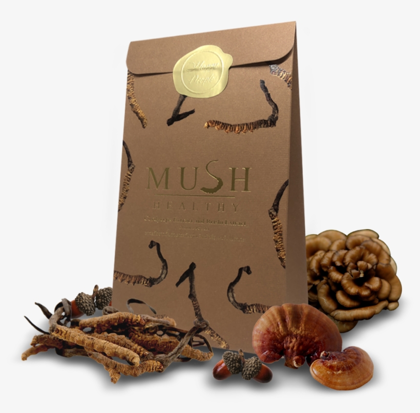 Main Image - Walnut, transparent png download