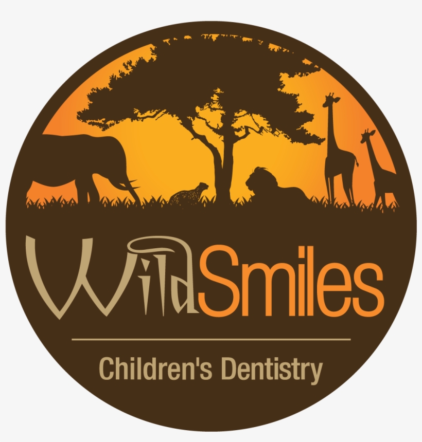 Wild Smiles Sc - South Carolina, transparent png download