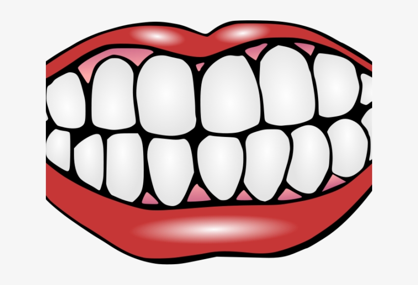 Perfect Teeth Cliparts - Teeth Clipart, transparent png download