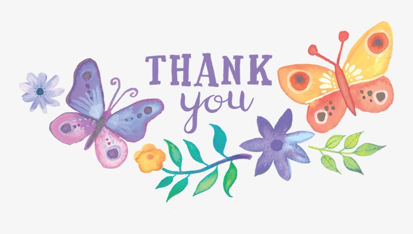 All The Illustrations Were Created With Gouache And - Polyommatus, transparent png download