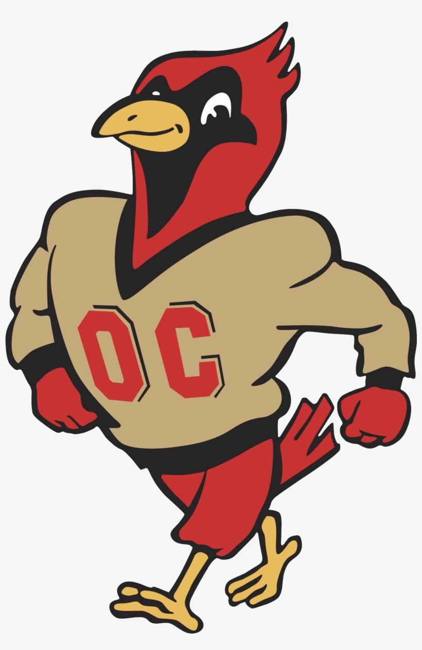 Cardinals, Otterbein University Div Iii, Ohio Athletic - Otterbein Cardinals, transparent png download