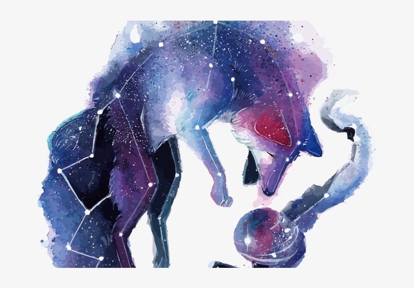 Arctic Fox Red Fox Gray Wolf Deer Vector Star Fox 1500*2000 - Galaxy Fox Art, transparent png download