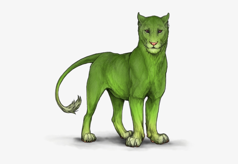 Fmpq5si - Art, transparent png download