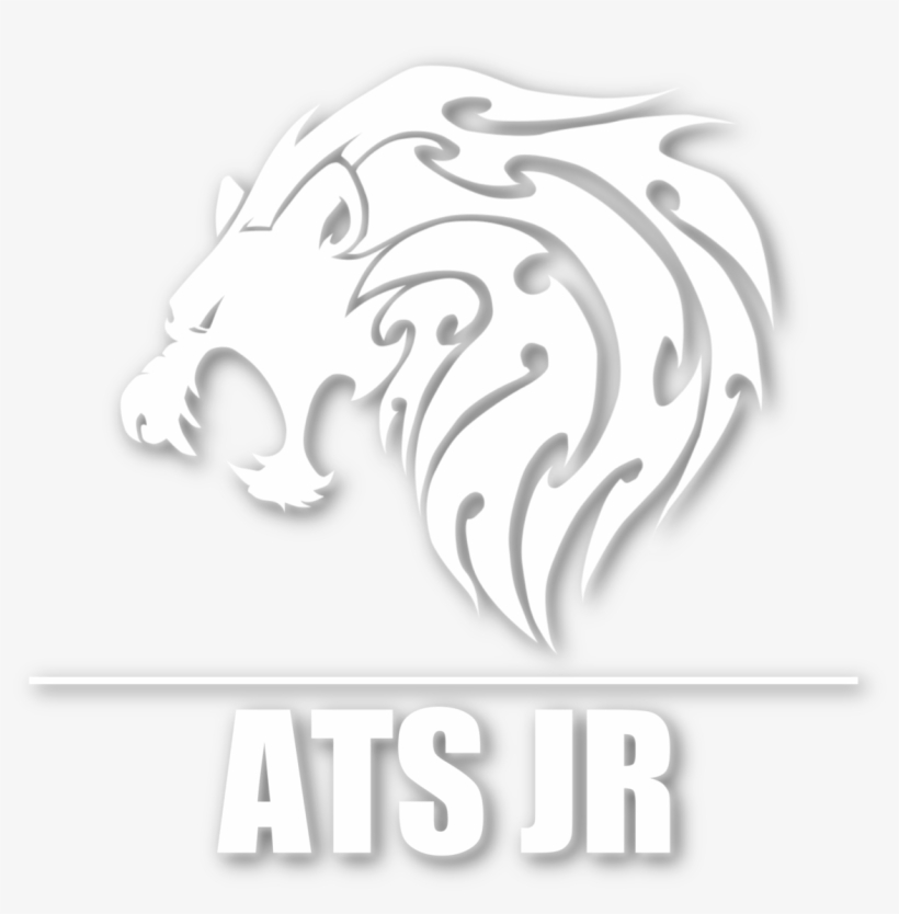 Antonio T Smith Jr Helps Companies & Individuals Become - Air, transparent png download