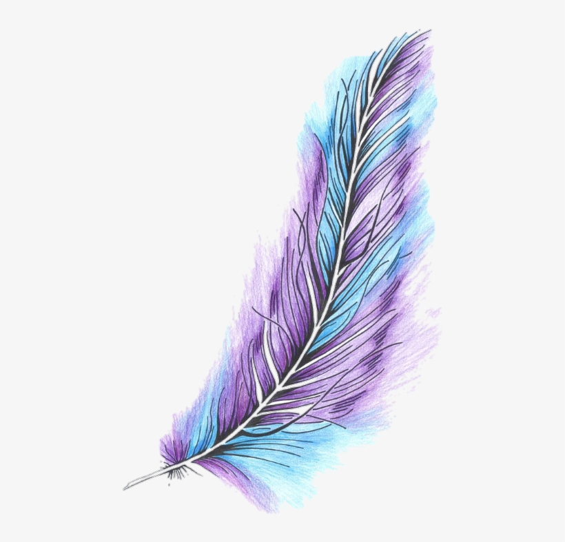 Related Wallpapers - Imagenes De Plumas Transparent PNG - 540x753