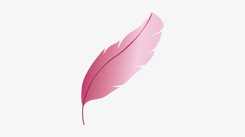 P24-pluma - حرف ريشة, transparent png download