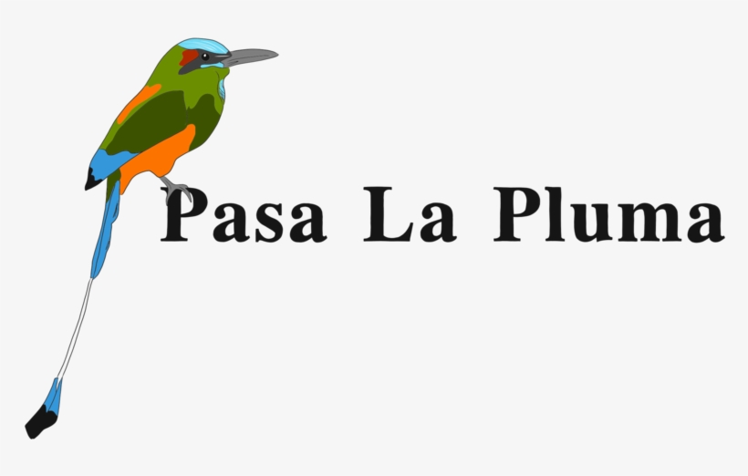 Attachment-1 - Sumas Llevando, transparent png download