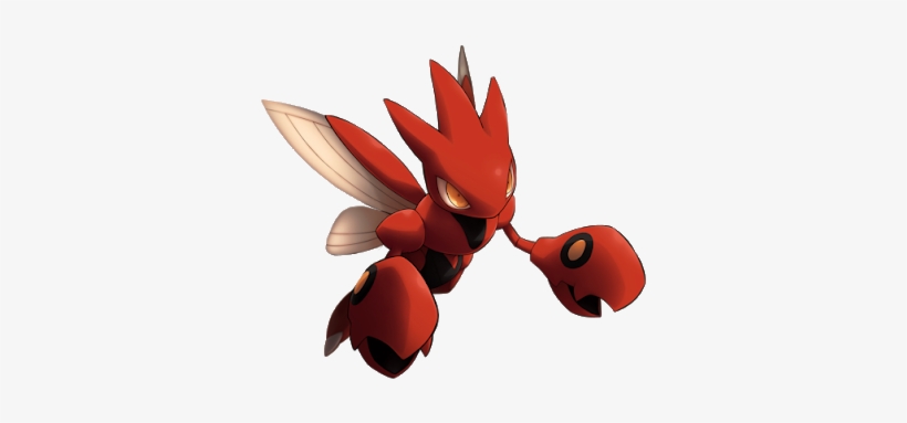 Photo Photo - Photograph, transparent png download