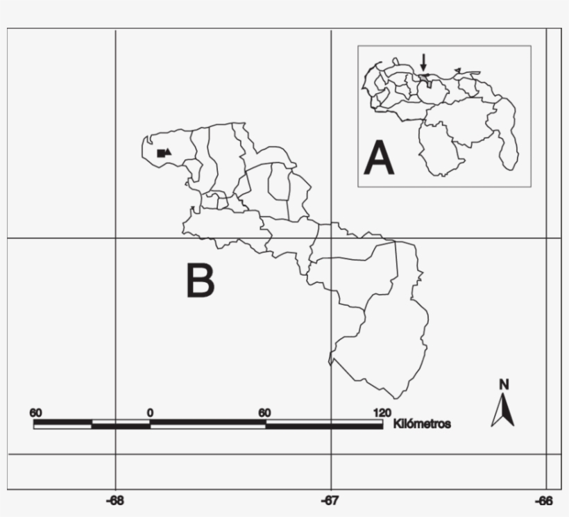 Ubicación Geográfica De Las Localidades De Cumboto - Diagram, transparent png download