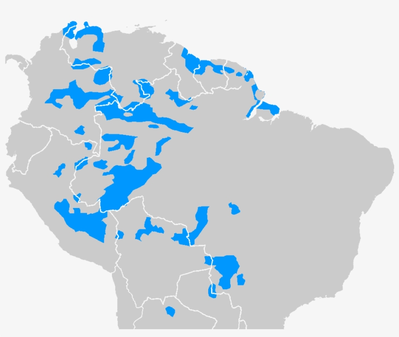 Los Arawacos En Venezuela - 1953 South American Championship, transparent png download