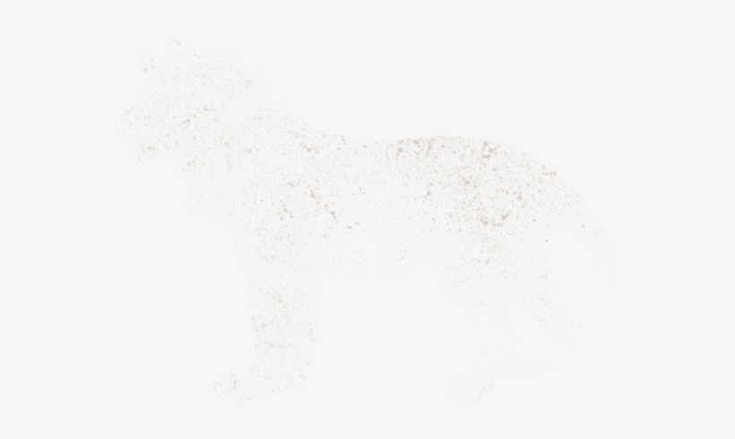 Flock, transparent png download