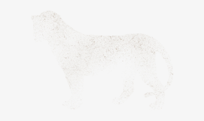 Sock, transparent png download