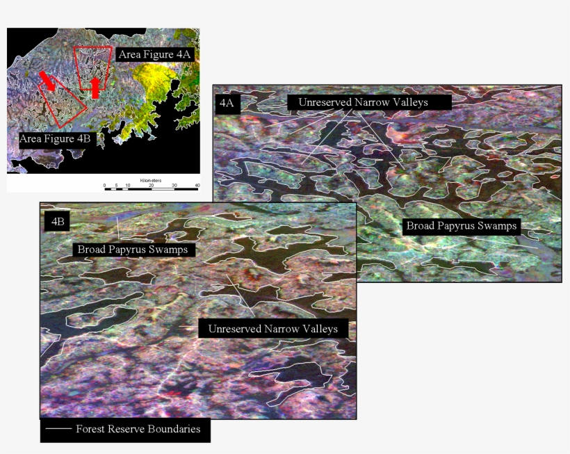 , Bright Valleys, Or We See Evidence Of Heavy Harvesting - Land Cover, transparent png download