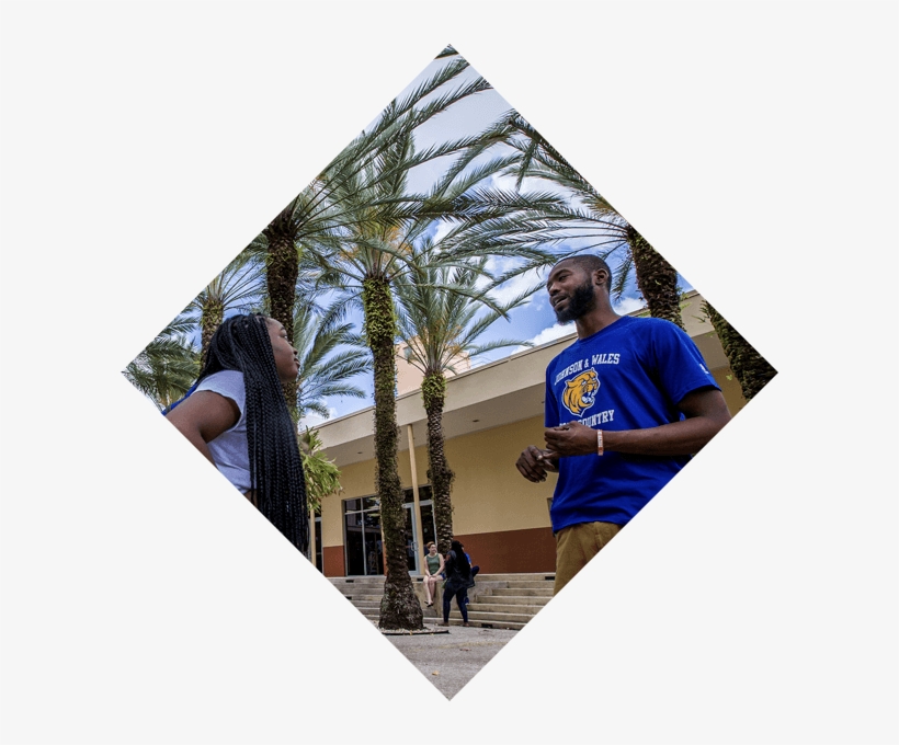 Daily Tour - Papua New Guinea, transparent png download