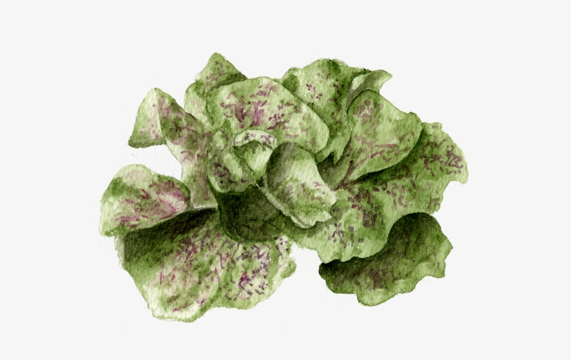 If You Want To Buy My Art - Chard, transparent png download