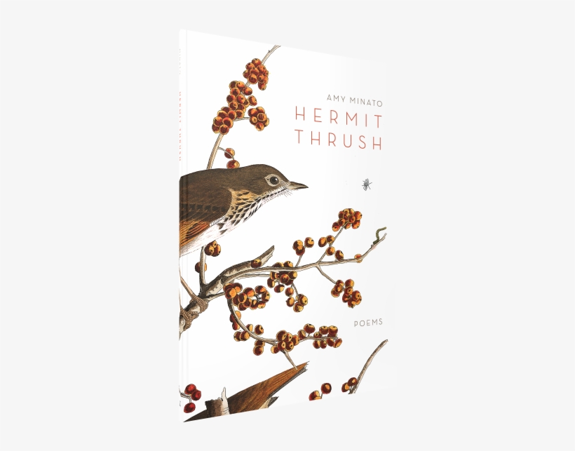 Amy Minato Featured In The Statesman Journal - Hermit Thrush [book], transparent png download