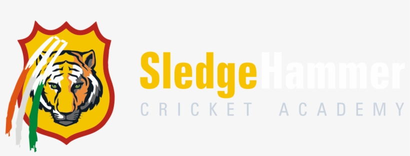 Sledge Hammer Cricket Academy - Collegefangear Depauw 3 Ft X 5 Ft Flag, transparent png download