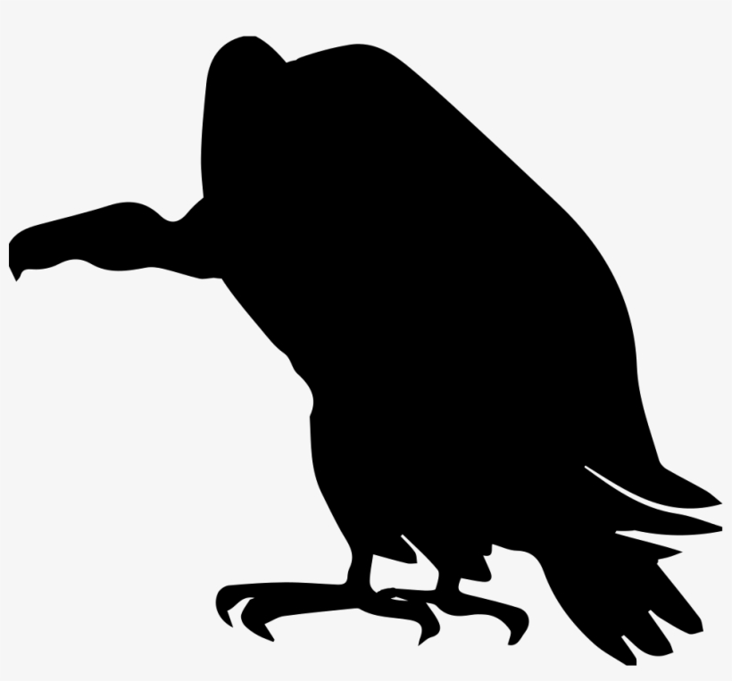 Png File - Vulture Vector Png, transparent png download
