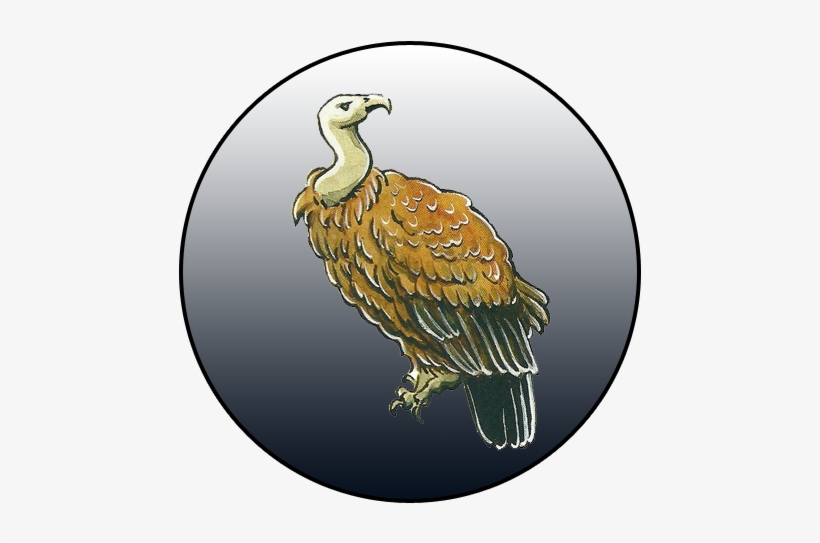 Ephyran By Elements Editions - Ephyran, transparent png download