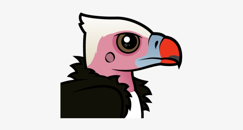 About The White-headed Vulture - White Headed Vulture Cartoon, transparent png download