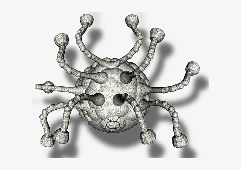 Stoned Beholder Drk - Weevil, transparent png download