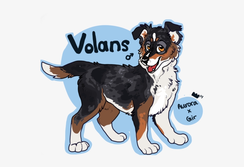 Picture - Dog Catches Something, transparent png download