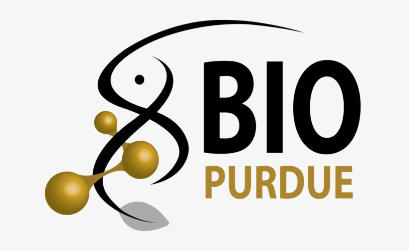 Biological Sciences Logo 2017 Grey Leaf Black And Gold - Purdue Biology Logo, transparent png download