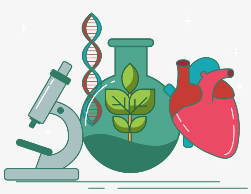 Related Wallpapers, transparent png download