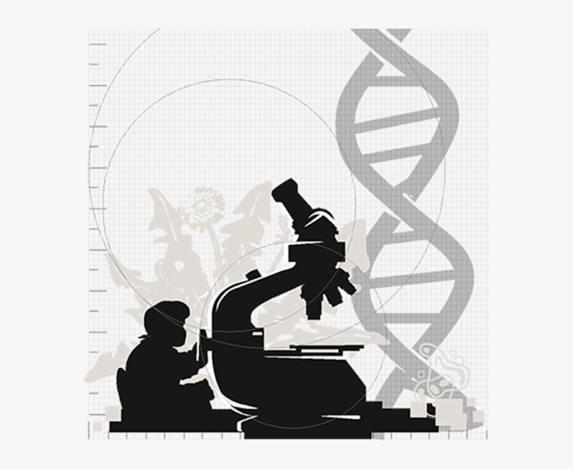 Plant-biology1 - Master's Degree, transparent png download