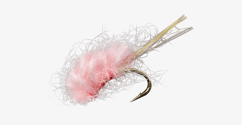 Amphipoda, transparent png download