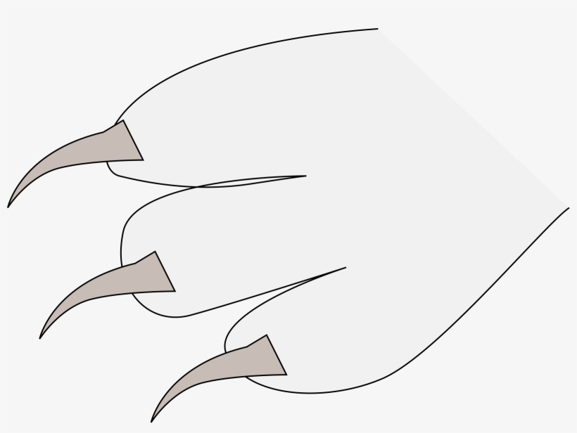 Claws Png, transparent png download