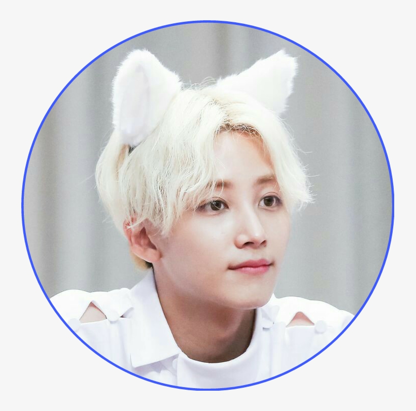Saythenane Diamond Edge Diamondedge - Jeonghan Cat Ears, transparent png download