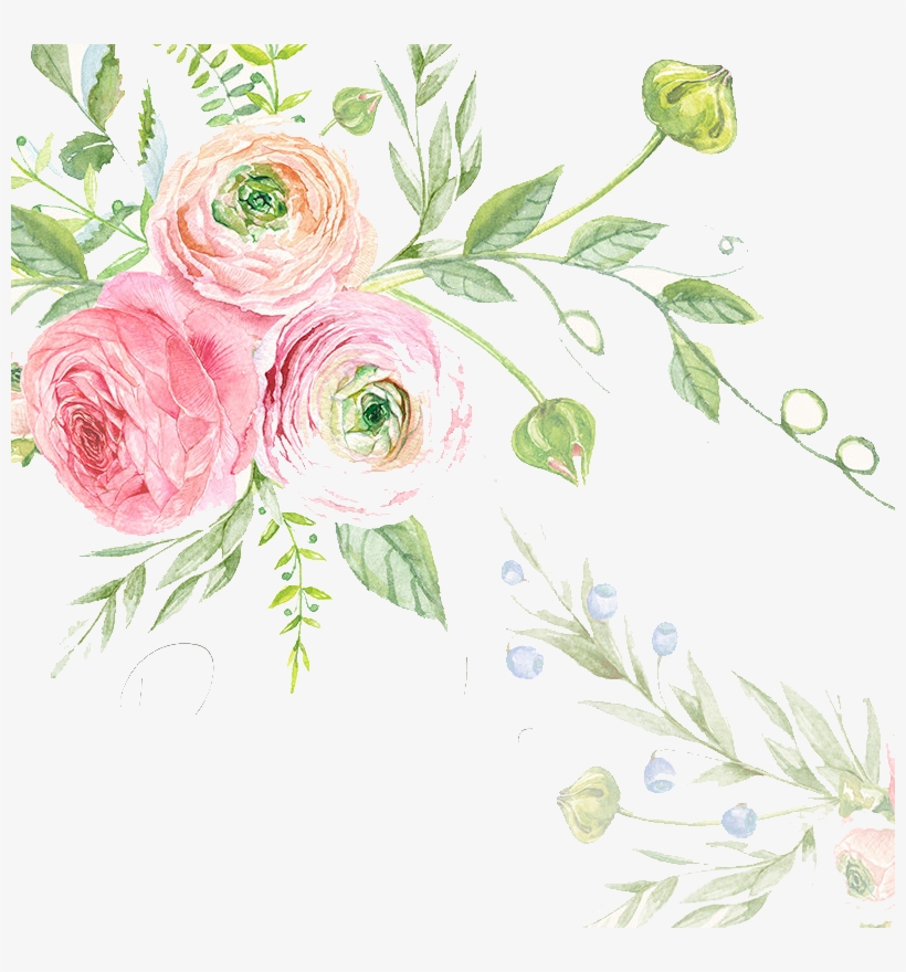 Wedding Invitation Watercolor Painting Drawing Flower Rose Transparent Png 800x800 Free Download On Nicepng