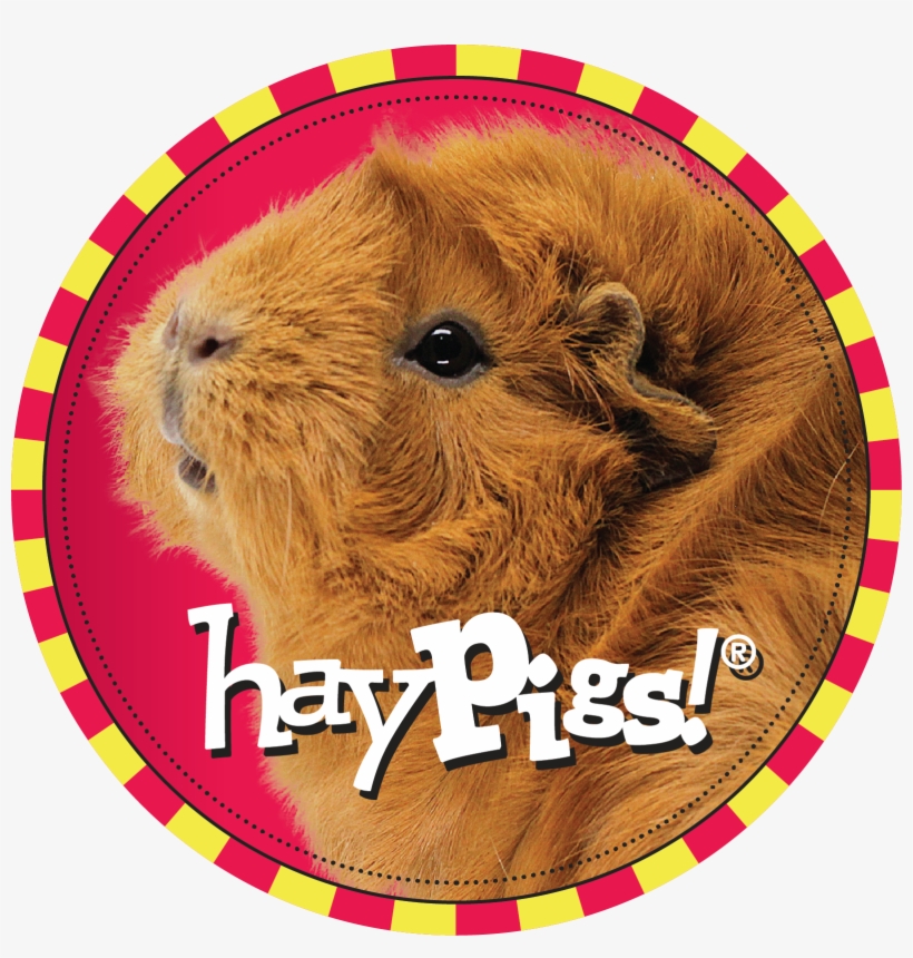 Marcia Fries - Haypigs!® Limited, transparent png download